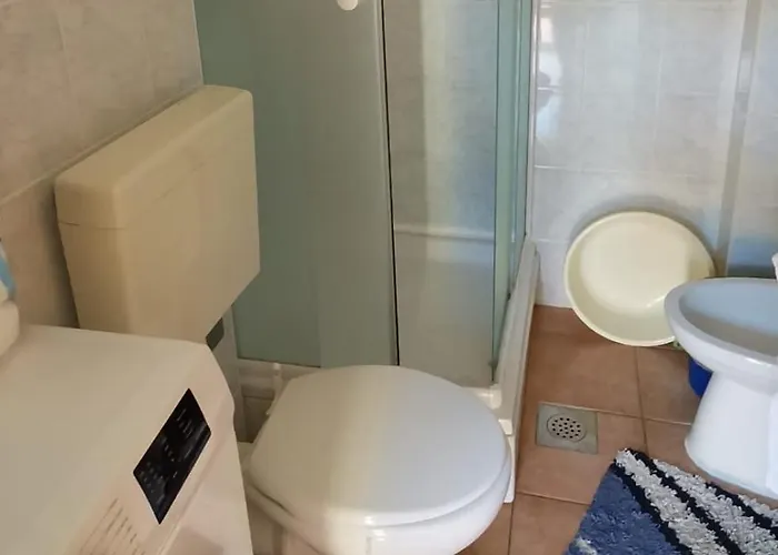 Solentia *